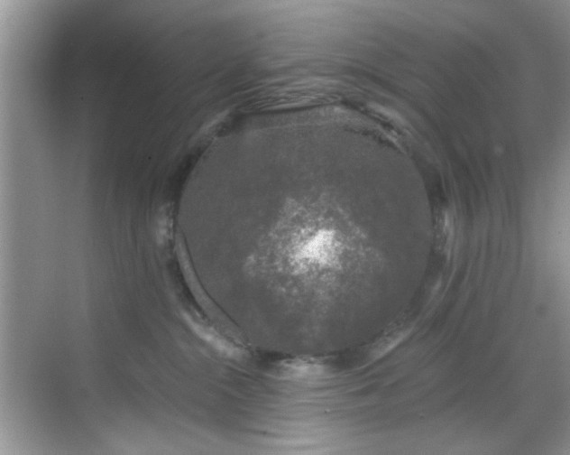 X0000070240284200606091343