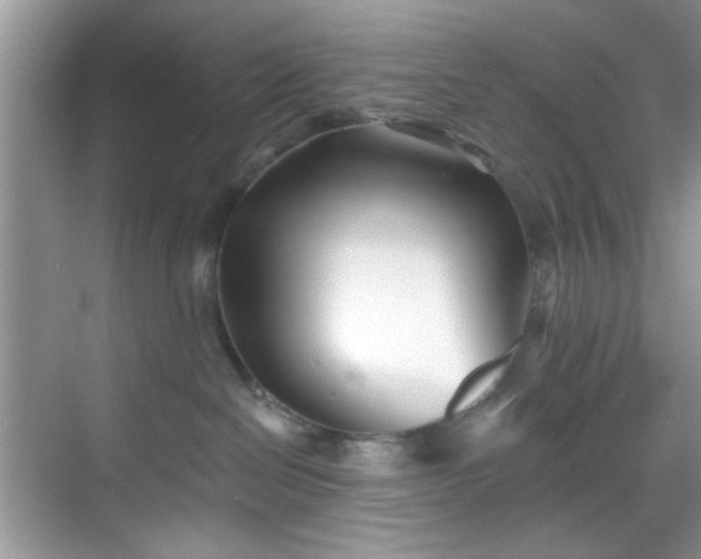 X0000070240286200606091343