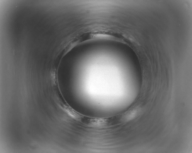 X0000070240288200606091343