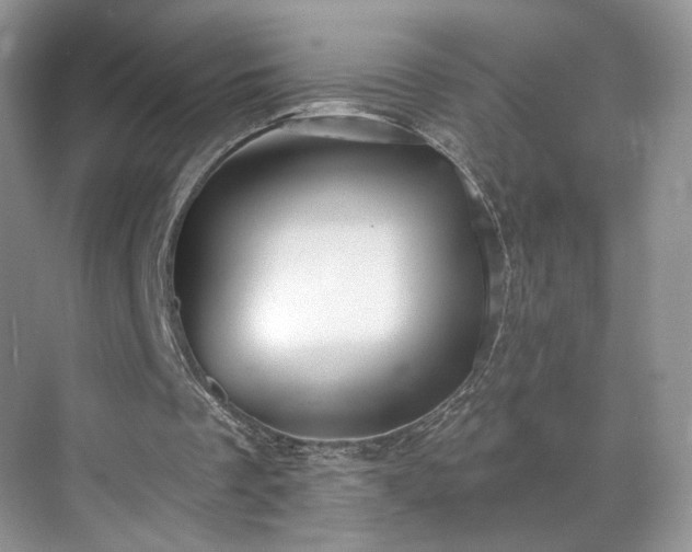 X0000070240289200606091342