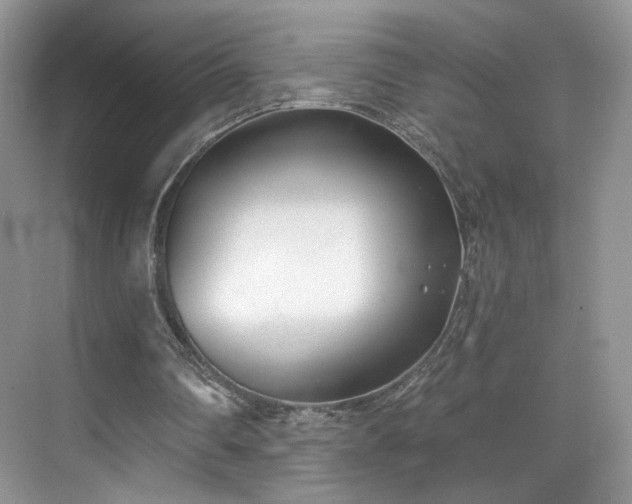 X0000070240290200606091342