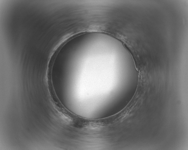 X0000070240292200606091342