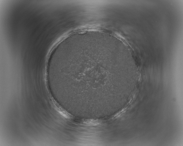 X0000070240293200606091342