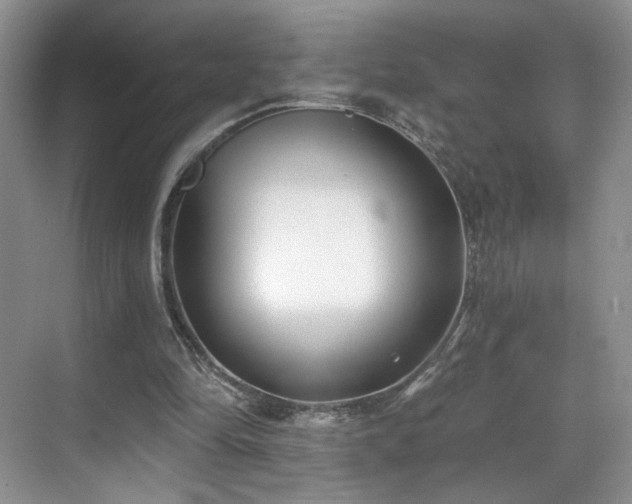 X0000070240294200606091342