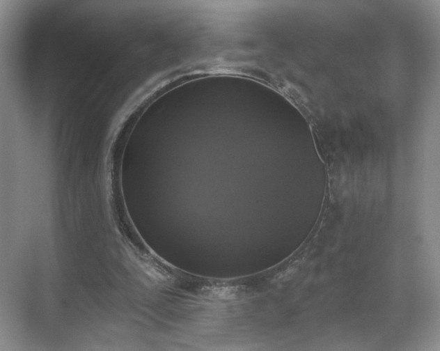 X0000070240295200606091342