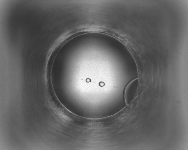 X0000070240296200606091342