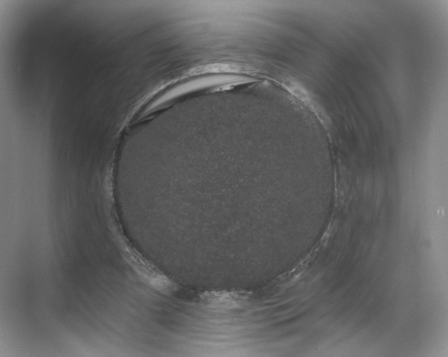 X0000070240297200606091342