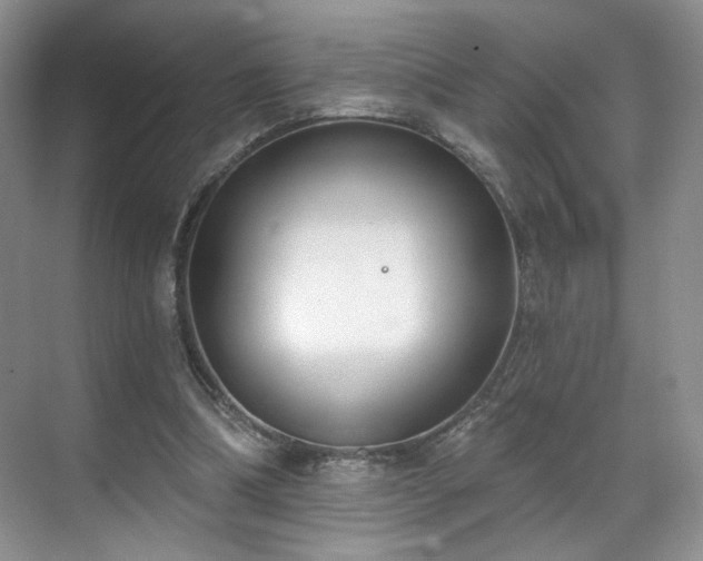 X0000070240298200606091342