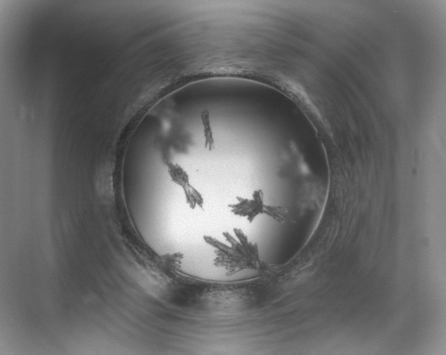 X0000070240299200606091342