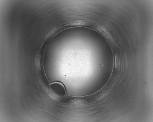 X0000070240300200606091342