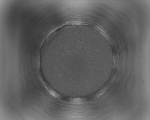 X0000070240301200606091342