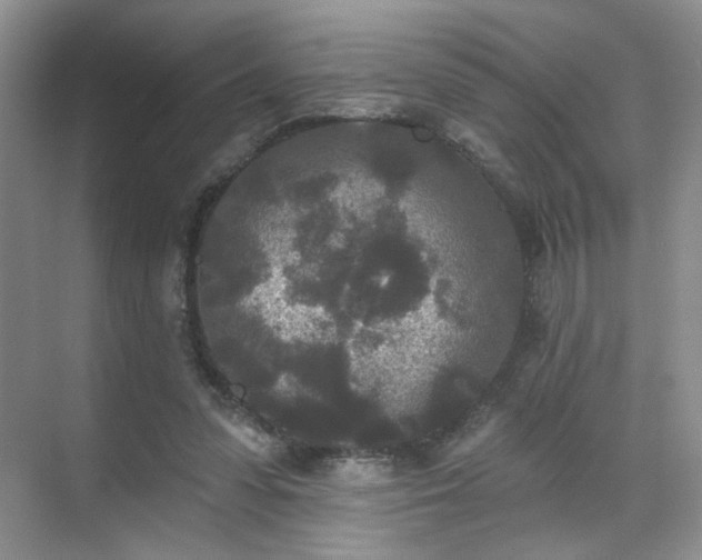 X0000070240303200606091342