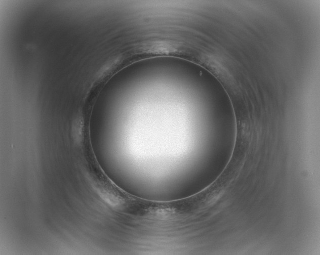 X0000070240304200606091342