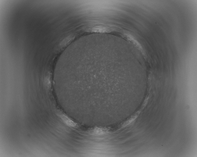 X0000070240305200606091342