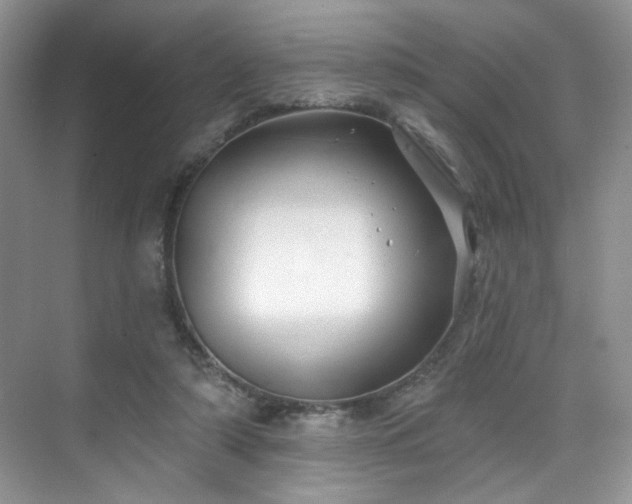 X0000070240306200606091342