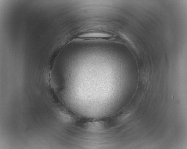 X0000070240307200606091341