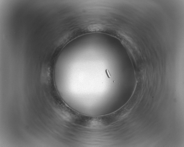 X0000070240308200606091341