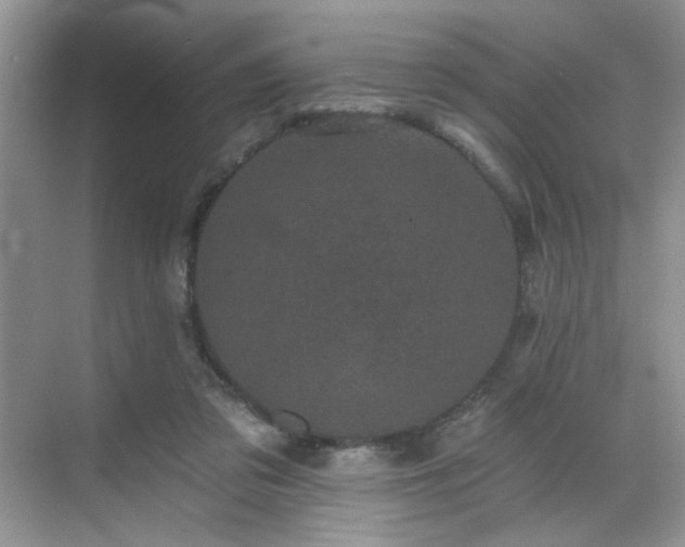 X0000070240309200606091341