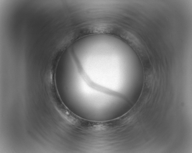 X0000070240310200606091341