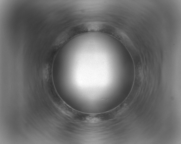 X0000070240311200606091341