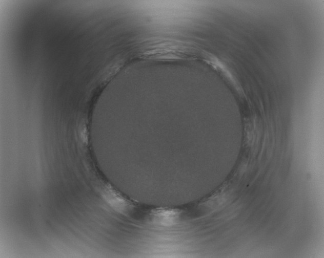 X0000070240313200606091341