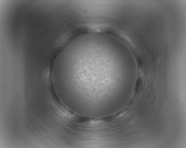 X0000070240314200606091341