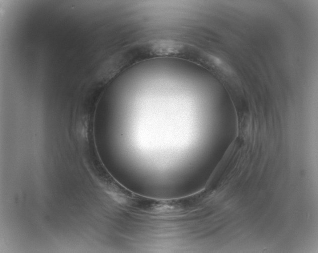 X0000070240315200606091341