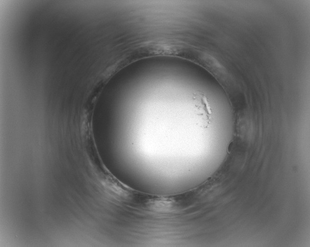 X0000070240318200606091341