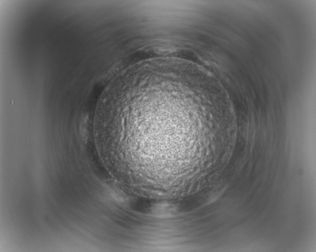 X0000070240319200606091341