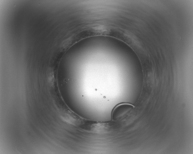 X0000070240320200606091341