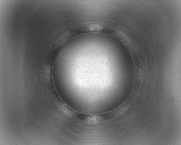 X0000070240321200606091341