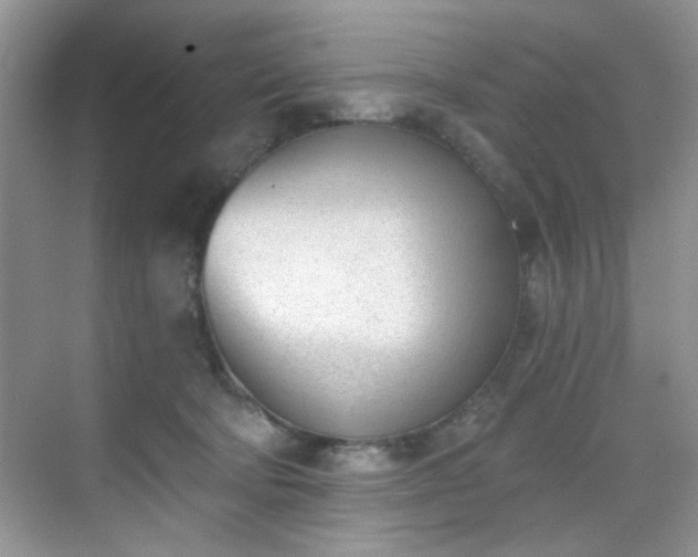 X0000070240322200606091341