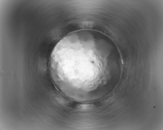 X0000070240323200606091341