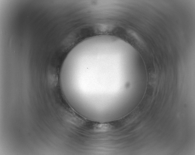 X0000070240324200606091341