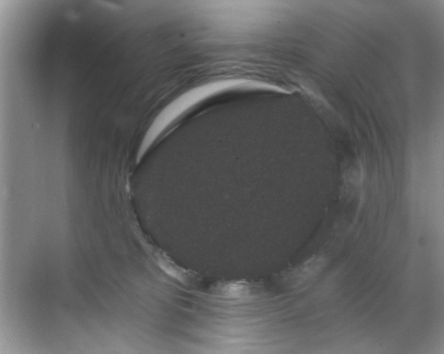 X0000070240325200606091341