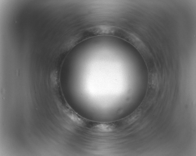 X0000070240326200606091341