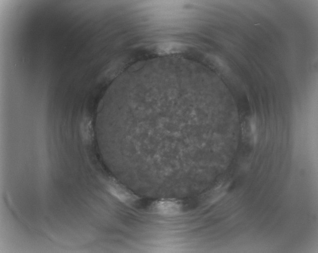 X0000070240327200606091341