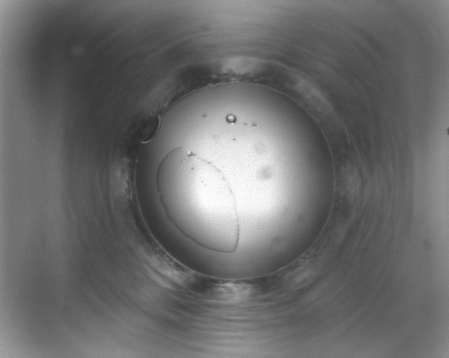 X0000070240328200606091341