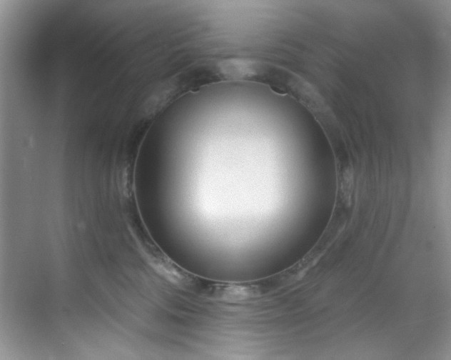 X0000070240330200606091341