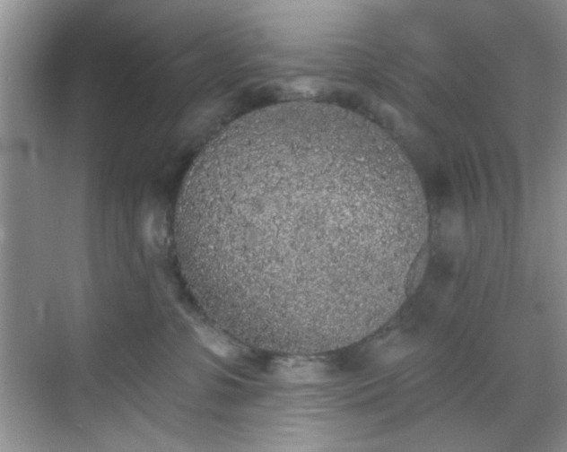 X0000070240331200606091341