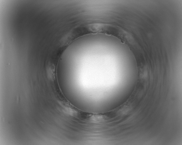 X0000070240332200606091341