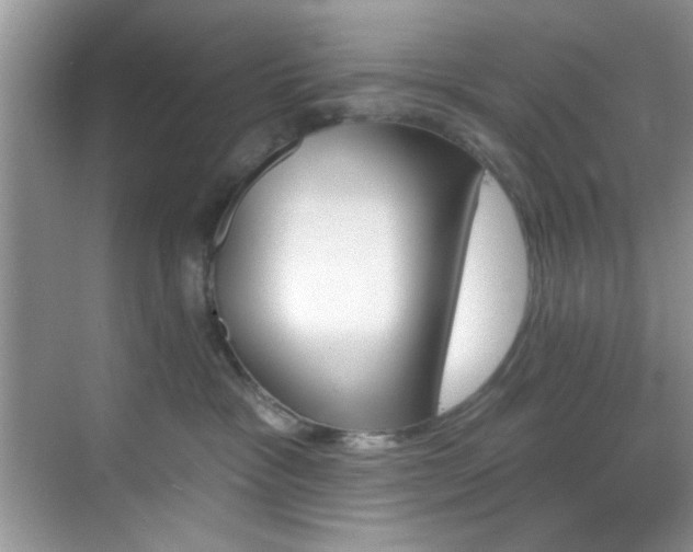 X0000070240333200606091341