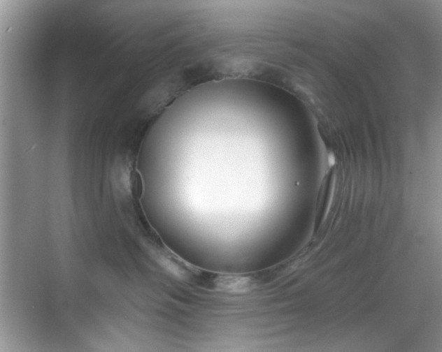 X0000070240334200606091341