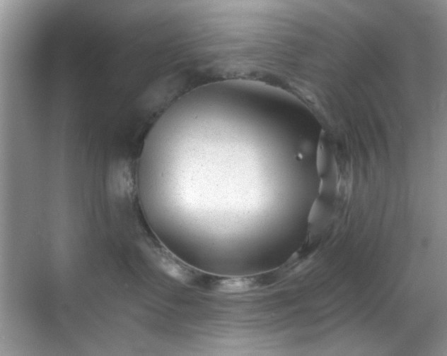 X0000070240335200606091341