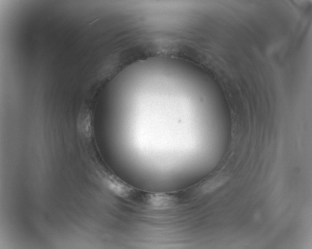 X0000070240336200606091341