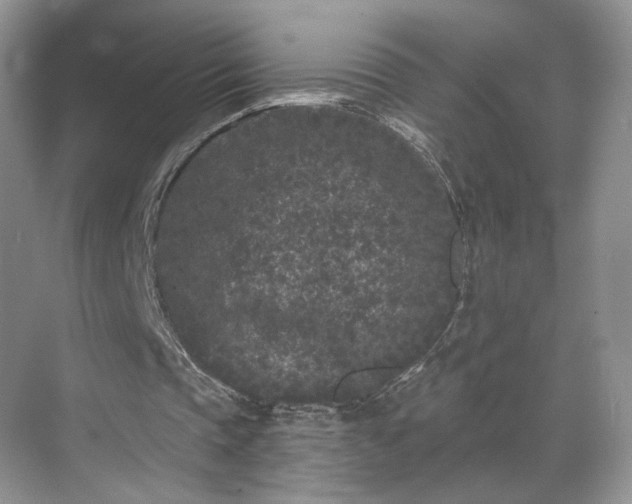 X0000070240337200606091340