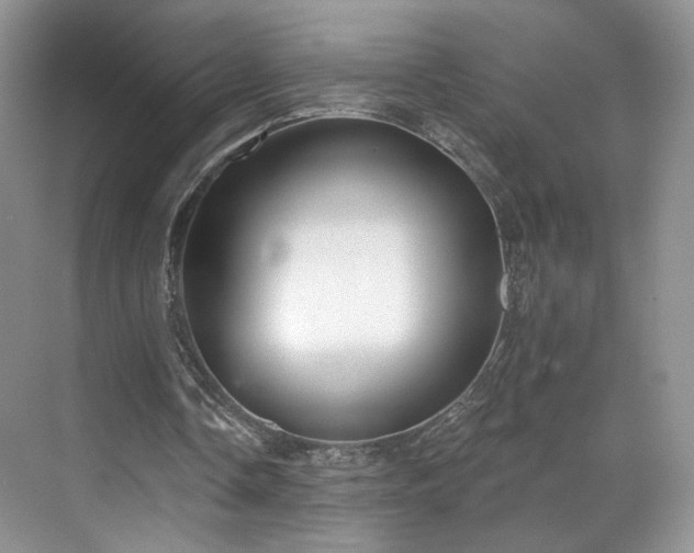 X0000070240338200606091340