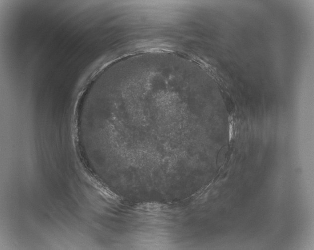 X0000070240339200606091340