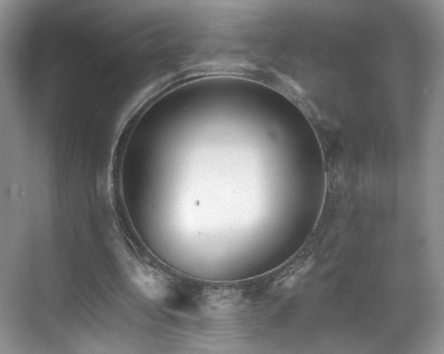 X0000070240340200606091340