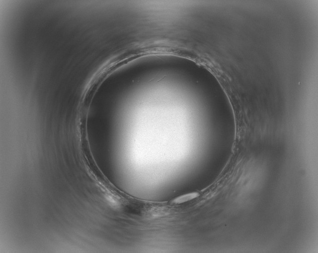 X0000070240341200606091340